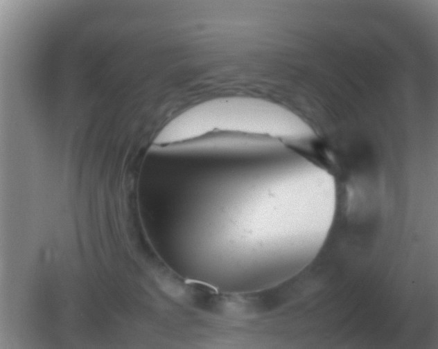 X0000082170229200701270008