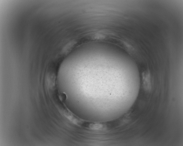 X0000082170230200701270008