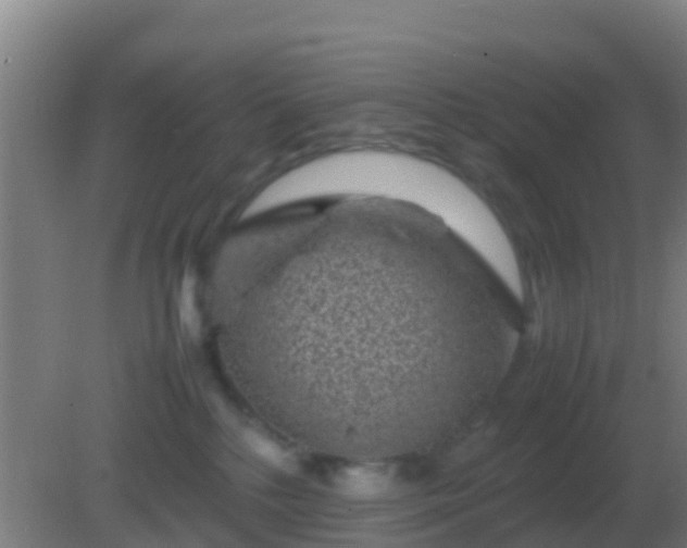 X0000082170232200701270008