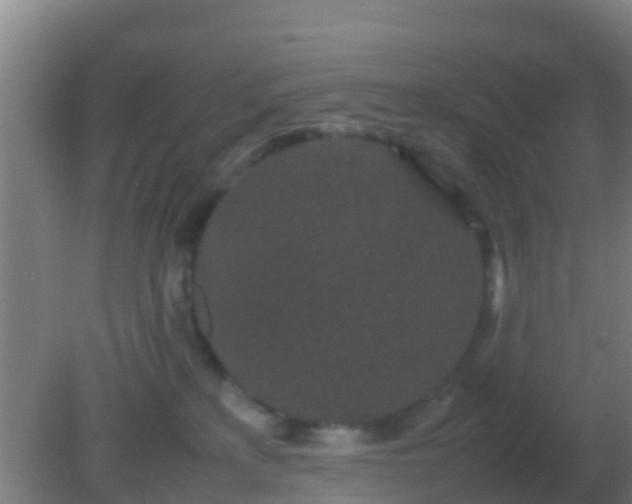 X0000082170233200701270008