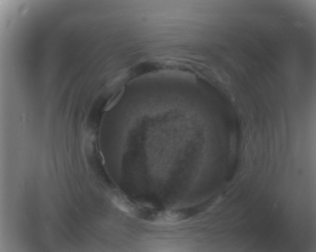 X0000082170235200701270008