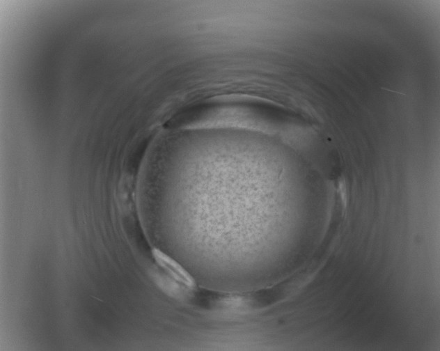 X0000082170237200701270008