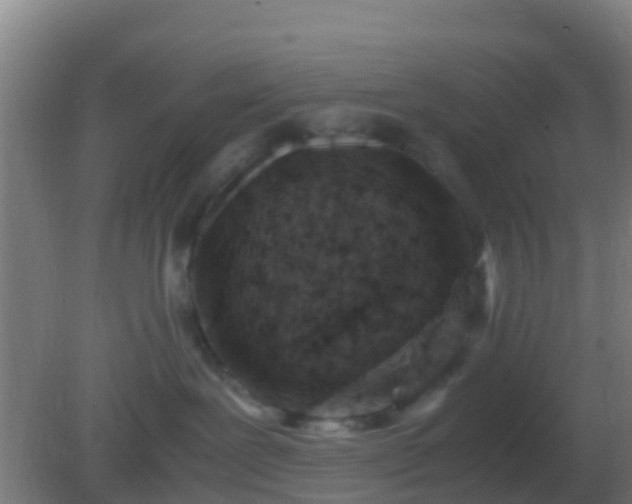 X0000082170239200701270008