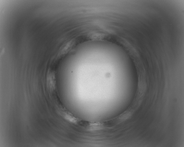 X0000082170240200701270008