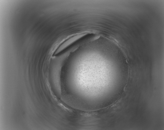 X0000082170241200701270007