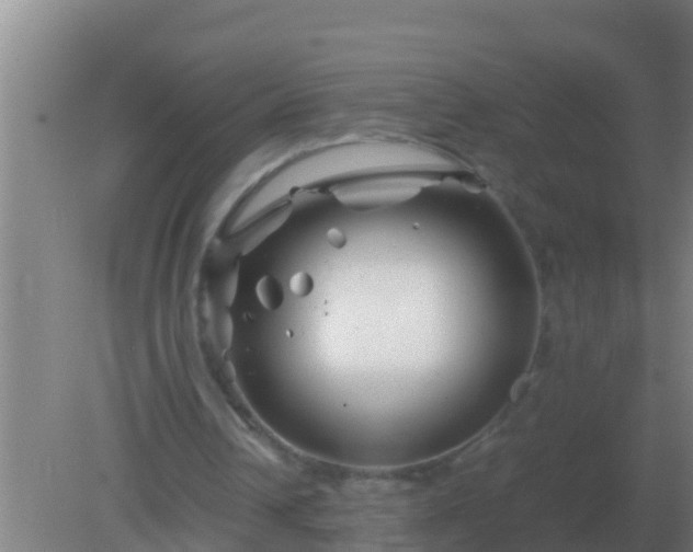 X0000082170242200701270007