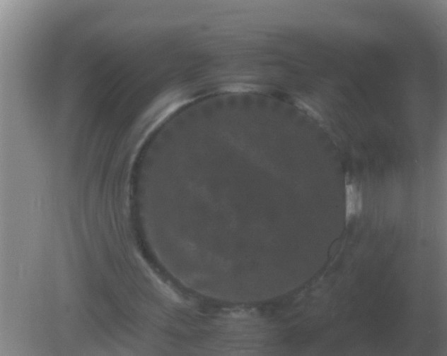 X0000082170243200701270007