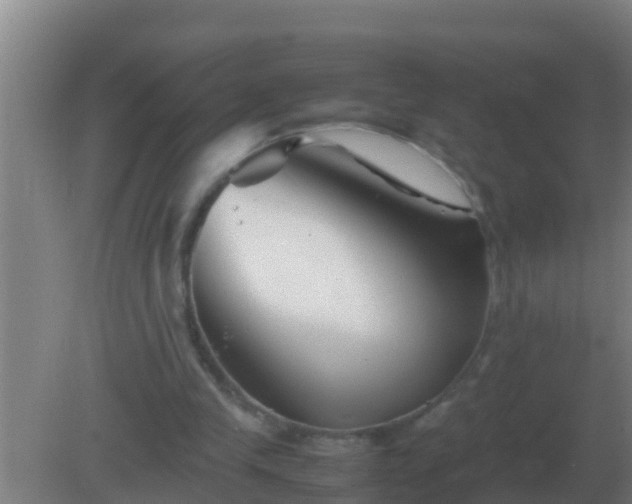 X0000082170245200701270007