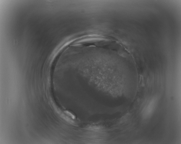 X0000082170247200701270007