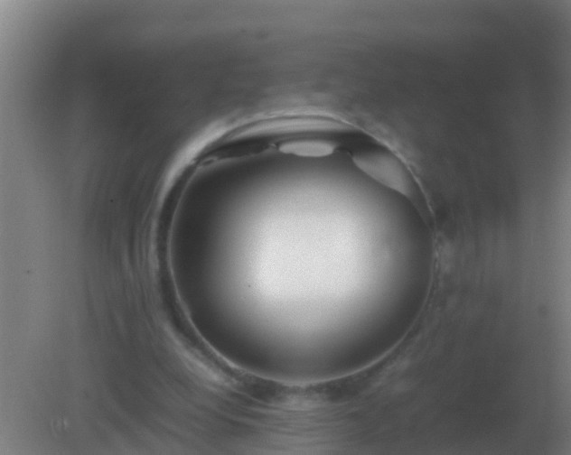 X0000082170248200701270007