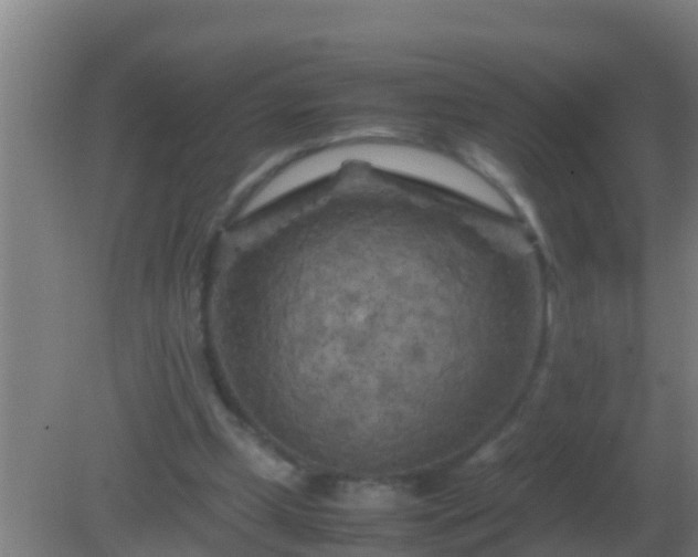 X0000082170249200701270007