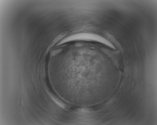 X0000082170250200701270007