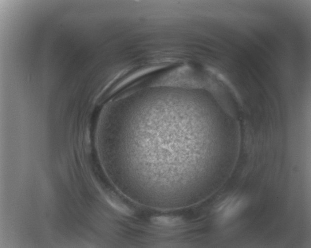 X0000082170251200701270007