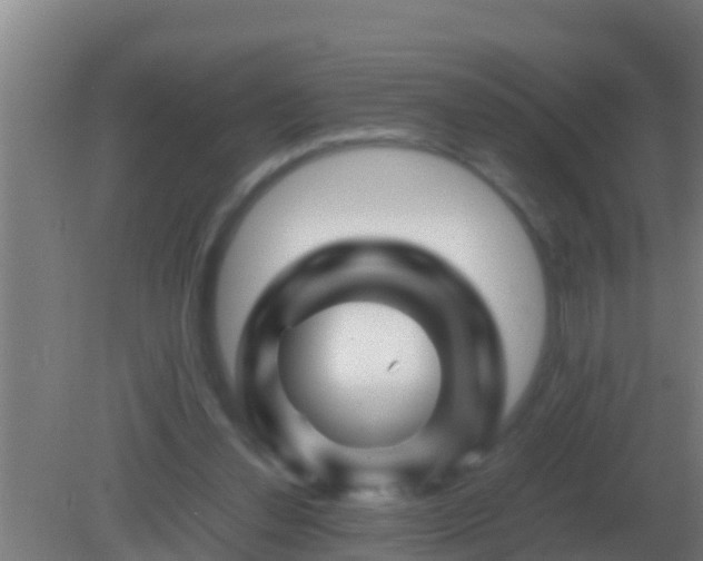 X0000082170252200701270007