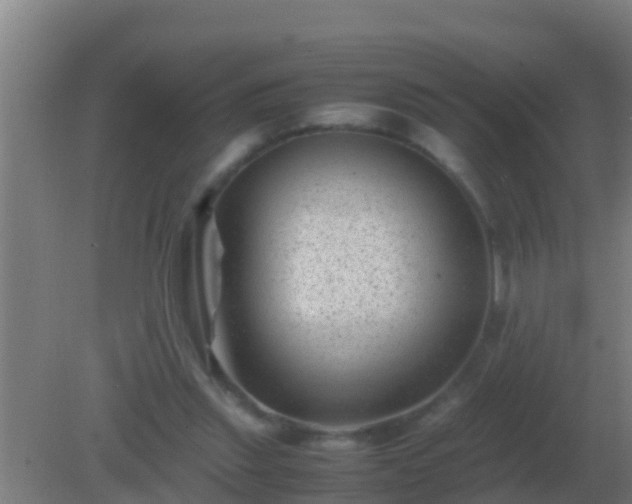 X0000082170253200701270007