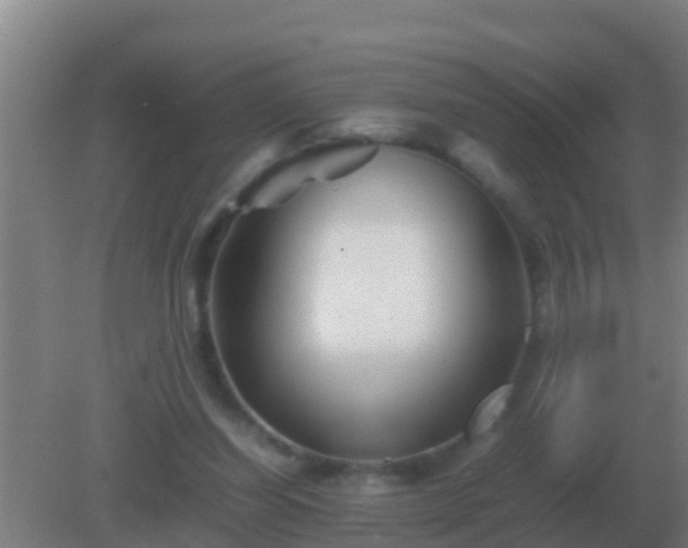 X0000082170254200701270007