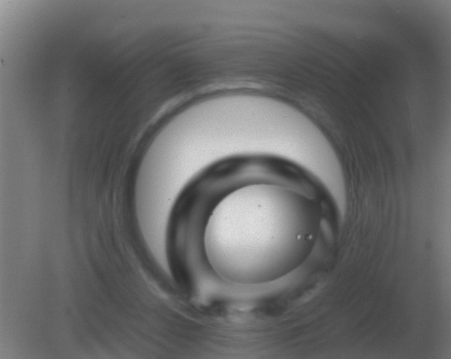 X0000082170256200701270007