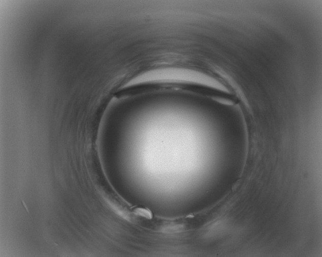 X0000082170257200701270007