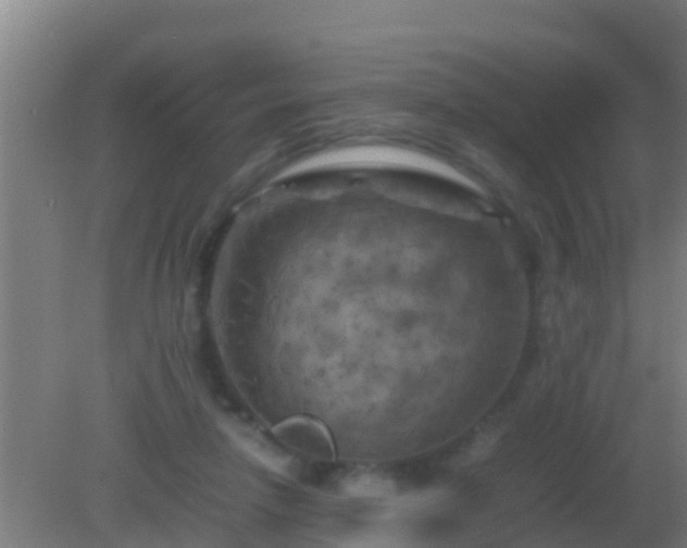 X0000082170258200701270007