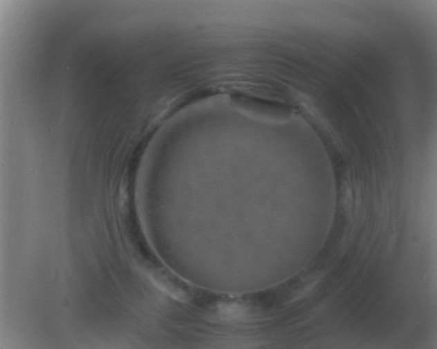 X0000082170259200701270007