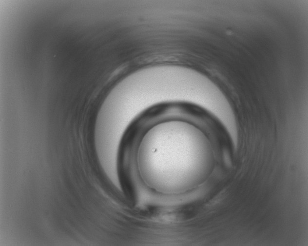 X0000082170260200701270007