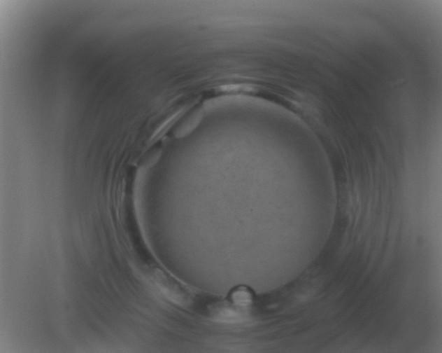 X0000082170263200701270007