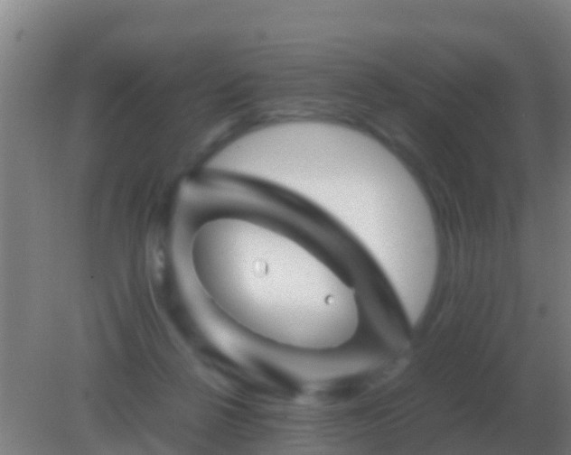 X0000082170264200701270007