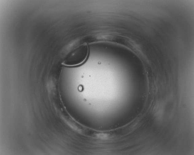 X0000082170265200701270007