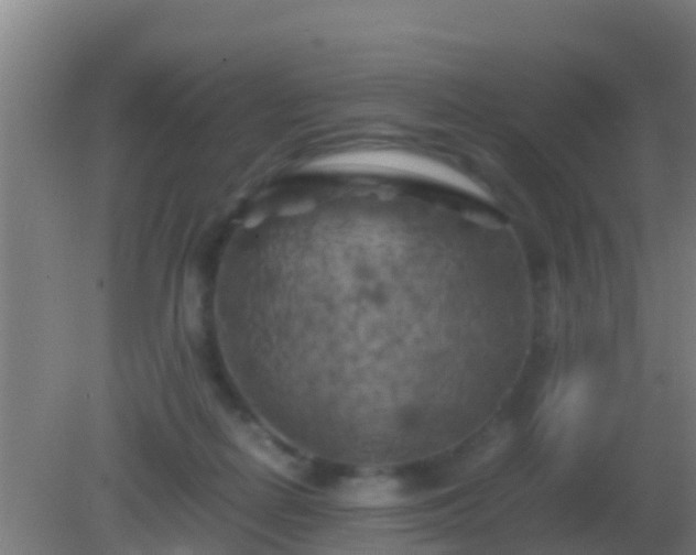 X0000082170266200701270007