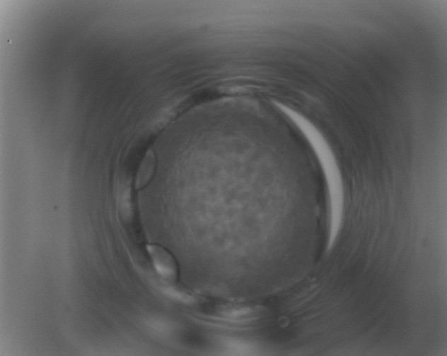 X0000082170267200701270008