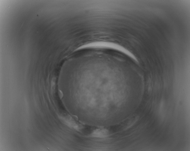 X0000082170271200701270008