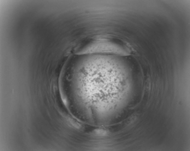 X0000082170272200701270008