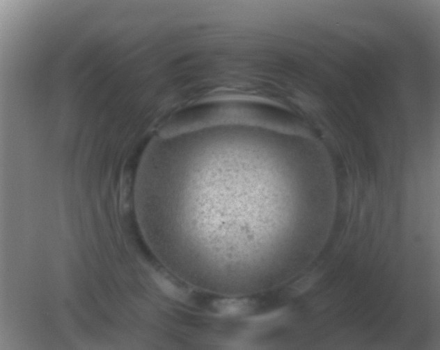 X0000082170273200701270008