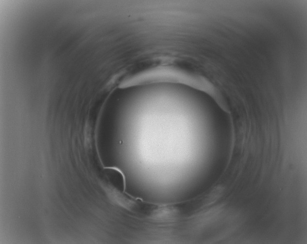 X0000082170274200701270008