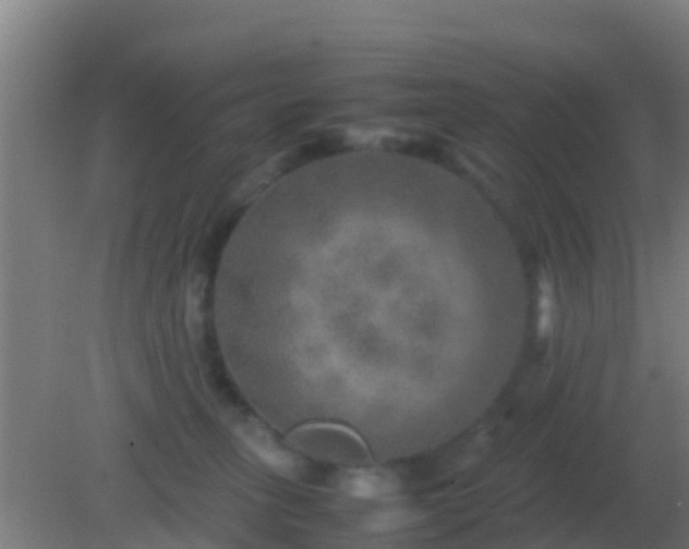 X0000082170275200701270008