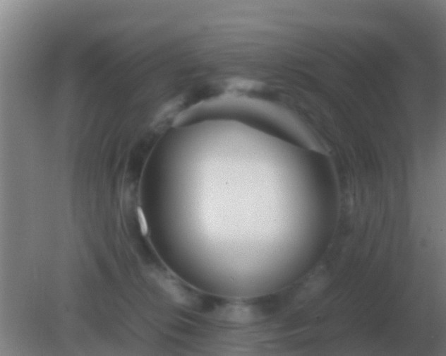 X0000082170276200701270008