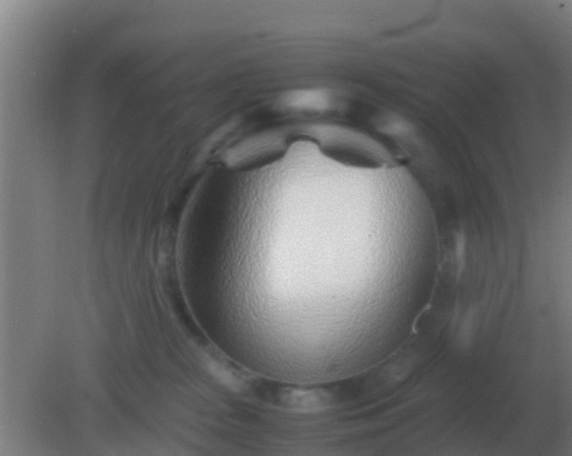 X0000082170277200701270008