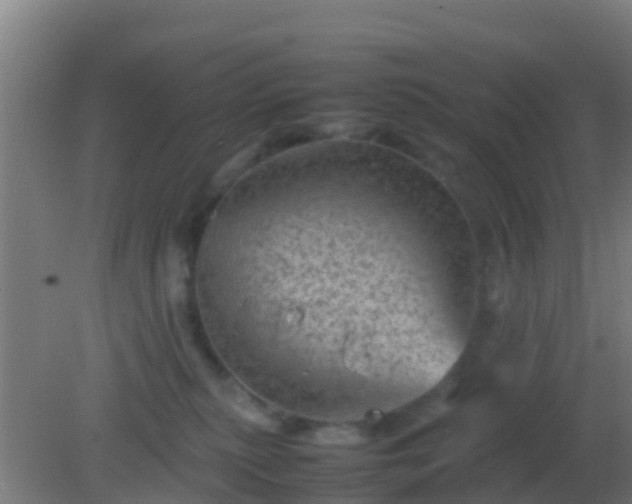 X0000082170279200701270008