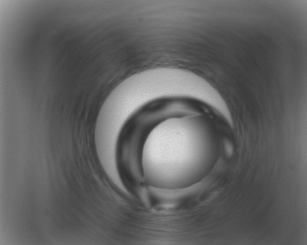 X0000082170280200701270008