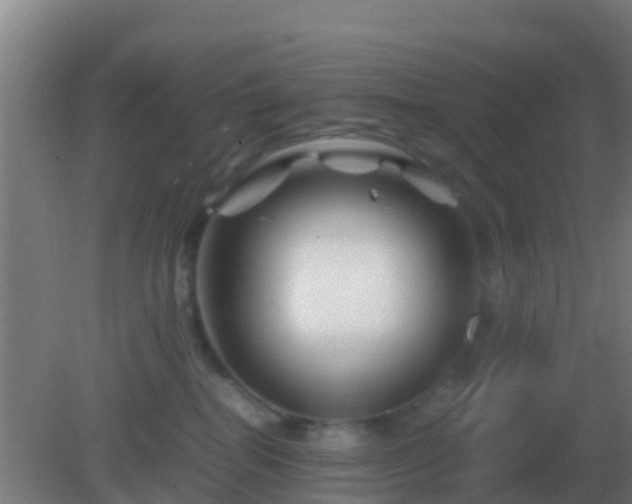 X0000082170282200701270008