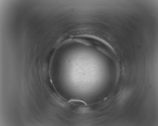 X0000082170283200701270008