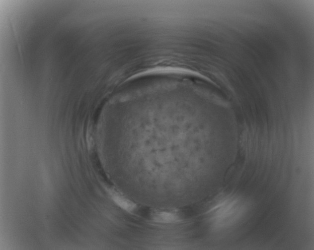 X0000082170285200701270008