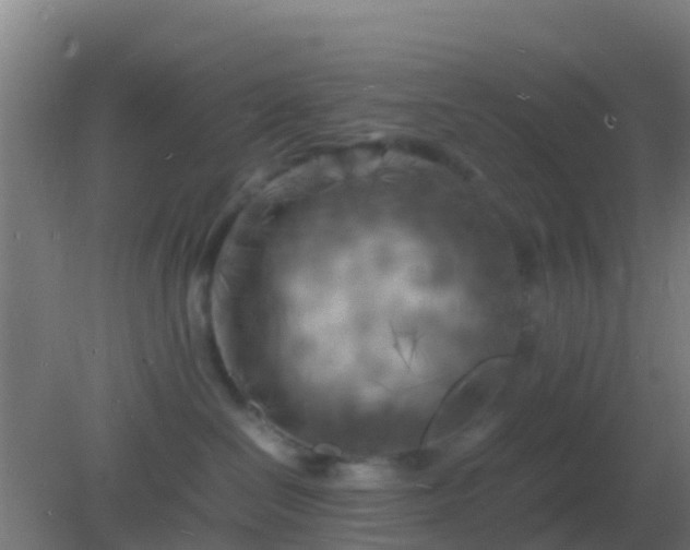 X0000082170286200701270008