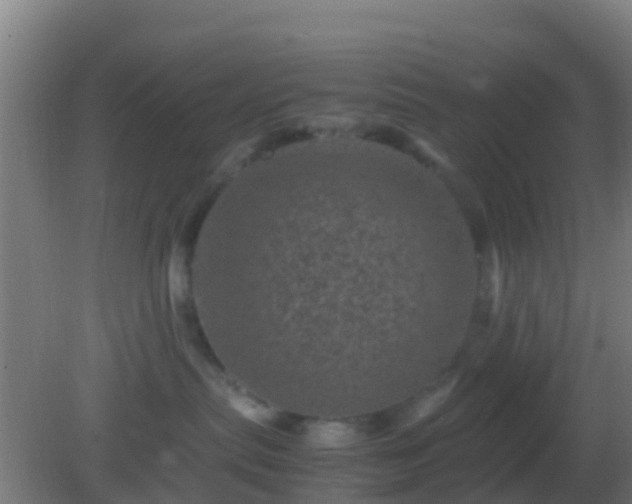 X0000082170287200701270008