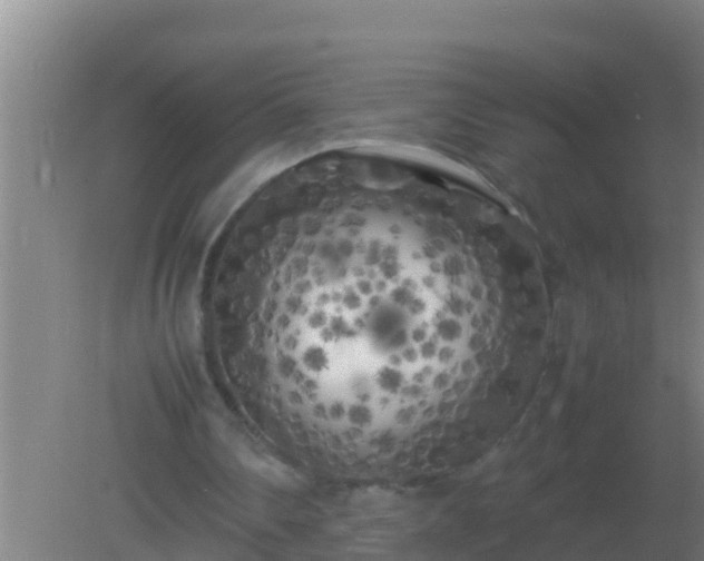 X0000082170290200701270007