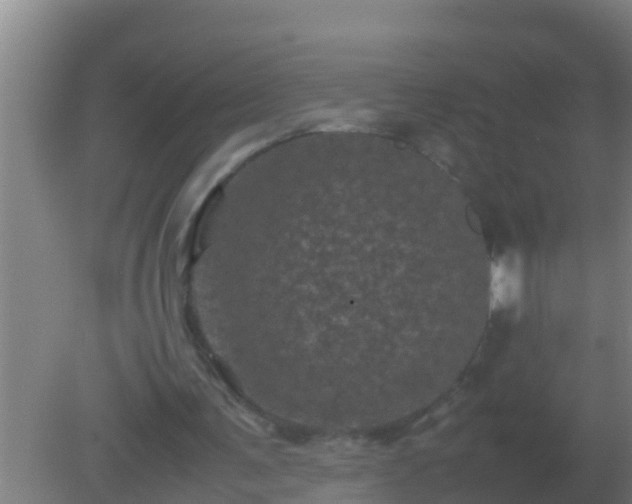 X0000082170291200701270007