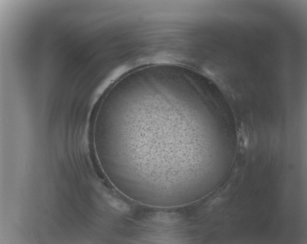 X0000082170292200701270007