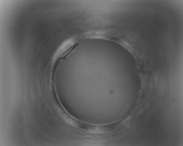 X0000082170293200701270007