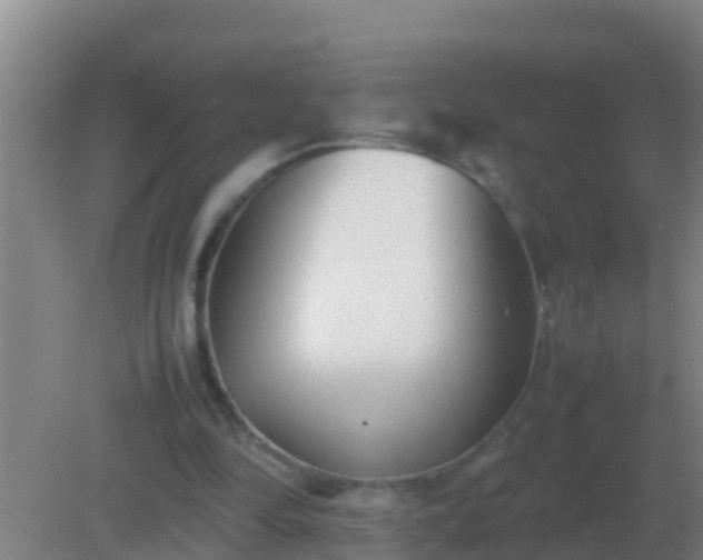 X0000082170294200701270007