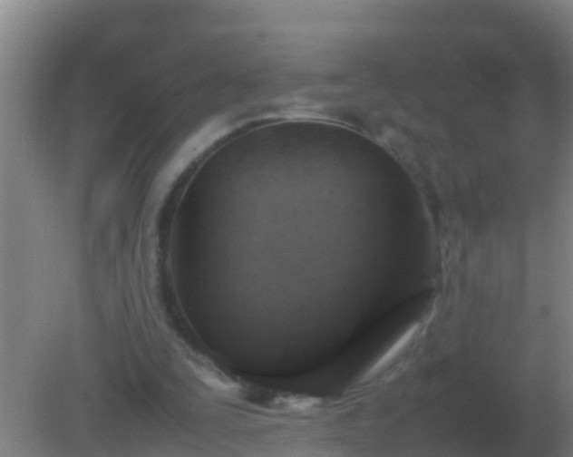 X0000082170295200701270007